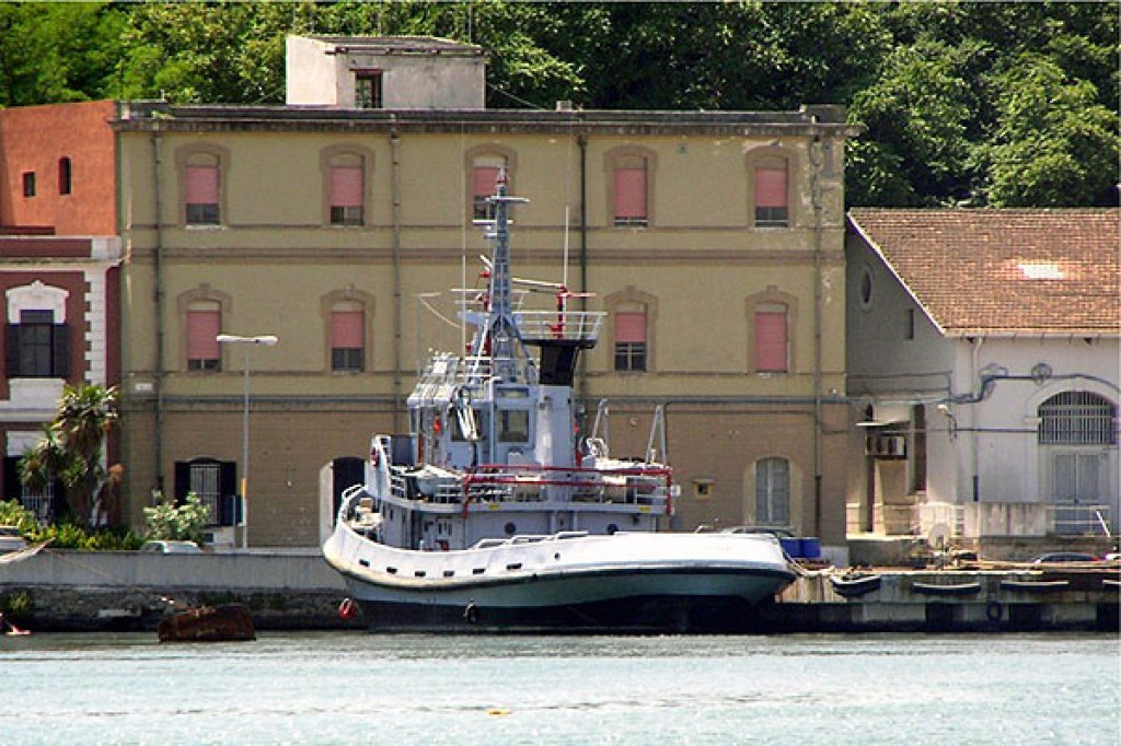 7907415.jpg