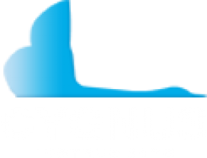 Cygnus Instruments Inc.png