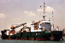 7359175.jpg