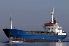 7221469.jpg