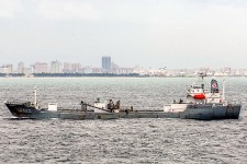 8611439.jpg