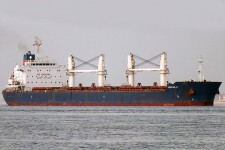 9445681.jpg