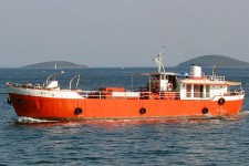 6405771.jpg