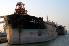7008855.jpg