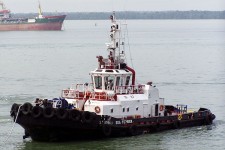 8968014.jpg