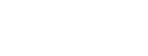 Southampton Solent University.png