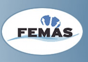 Federation of European Maritime Associations of Surveyors & Consultants (FEMAS).png