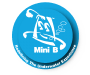 Mini B Ltd.png