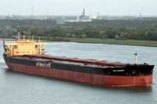 8602476.jpg