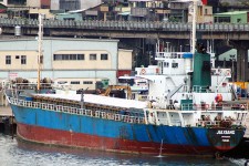 8518675.jpg