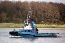 9276119.jpg