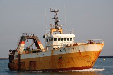 9211808.jpg