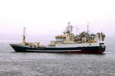 9184407.jpg
