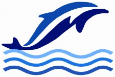 Sea Trust Marine logo.jpg