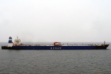 9148635.jpg