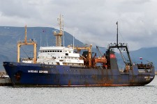 7703974.jpg