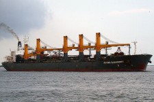 9057446.jpg