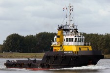 9448085.jpg