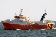 9136383.jpg