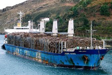 9245067.jpg