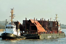 9364497.jpg