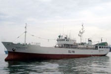 8518247.jpg