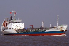 9146924.jpg