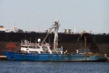 8104204.jpg