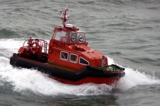 9455088.jpg