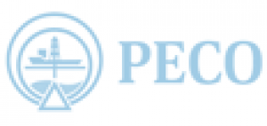Pacific Engineering Co Ltd (PECO).png