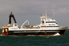 8901523.jpg