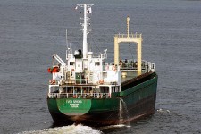8817289.jpg