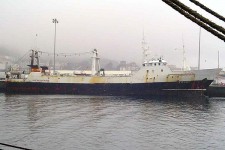 8716411.jpg