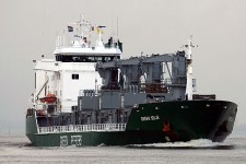 8804529.jpg