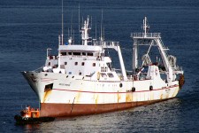 8600430.jpg