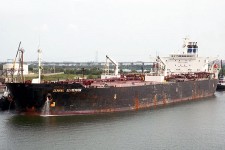 9083304.jpg