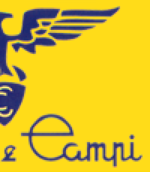 Canepa & Campi Srl.png