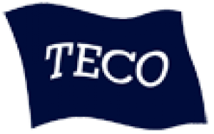 Teco Maritime Far East Pte Ltd.png