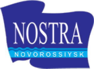 Novorossiysk Insurance Co NOSTRA Ltd.png