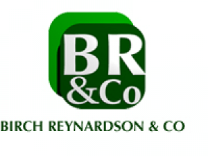 Birch Reynardson & Co.png