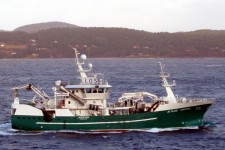 9565429.jpg