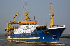 9249556.jpg