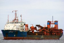 8513431.jpg