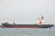 9444974.jpg