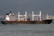 9146388.jpg