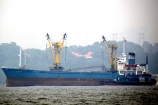 8025044.jpg
