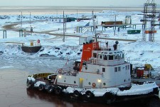 7305904.jpg