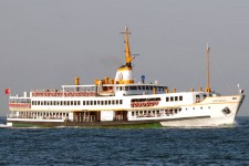 7315519.jpg