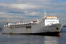 7615309.jpg