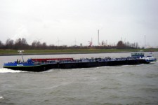 9350953.jpg